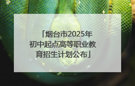 烟台市2025年初中起点高等职业教育招生计划公布
