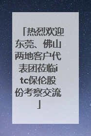 热烈欢迎东莞、佛山两地客户代表团莅临itc保伦股份考察交流