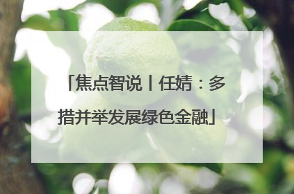 焦点智说丨任婧：多措并举发展绿色金融