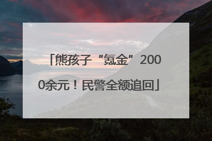 熊孩子“氪金”2000余元！民警全额追回