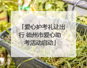爱心护考礼让出行 德州市爱心助考活动启动