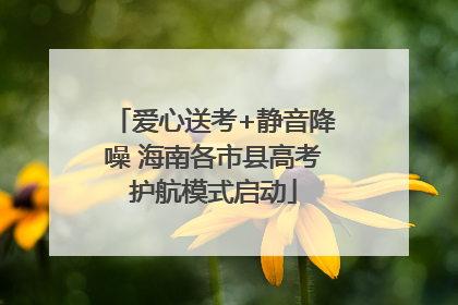 爱心送考+静音降噪 海南各市县高考护航模式启动