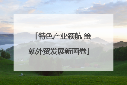 特色产业领航 绘就外贸发展新画卷