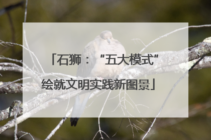 石狮：“五大模式”绘就文明实践新图景