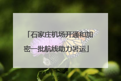 石家庄机场开通和加密一批航线助力暑运