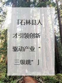 石林县人才引领创新驱动产业“三级跳”