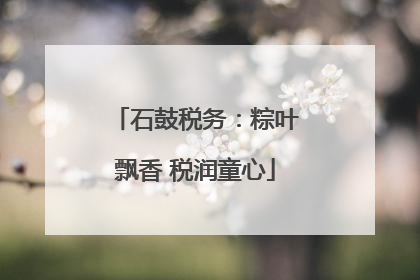 石鼓税务：粽叶飘香 税润童心