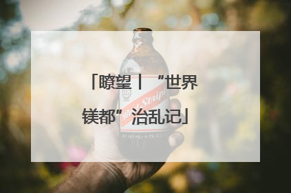 瞭望丨“世界镁都”治乱记