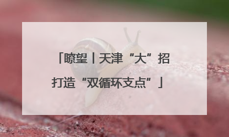 瞭望丨天津“大”招打造“双循环支点”