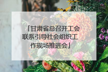 甘肃省总召开工会联系引导社会组织工作现场推进会