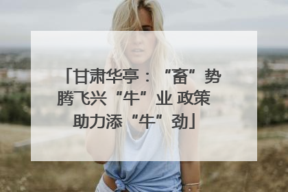 甘肃华亭：“畜”势腾飞兴“牛”业 政策助力添“牛”劲