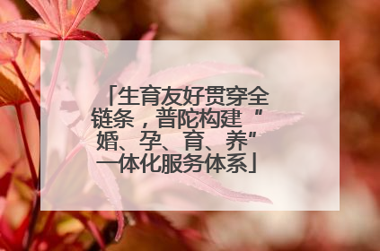 生育友好贯穿全链条，普陀构建“婚、孕、育、养”一体化服务体系