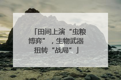 田间上演“虫粮博弈”，生物武器扭转“战局”