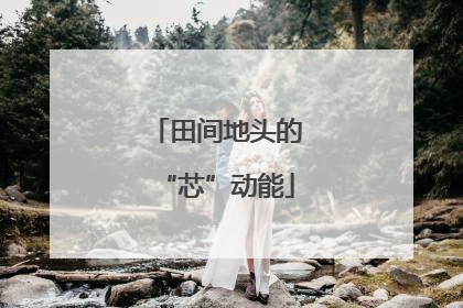 田间地头的“芯”动能