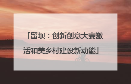 留坝：创新创意大赛激活和美乡村建设新动能