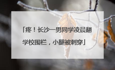 疼！长沙一男同学凌晨翻学校围栏，小腿被刺穿