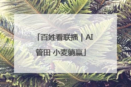 百姓看联播｜AI管田 小麦躺赢