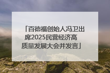 百德福创始人冯卫出席2025民营经济高质量发展大会并发言