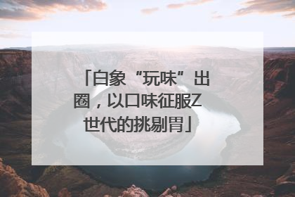 白象“玩味”出圈，以口味征服Z世代的挑剔胃