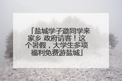 盐城学子邀同学来家乡 政府请客！这个暑假，大学生多项福利免费游盐城