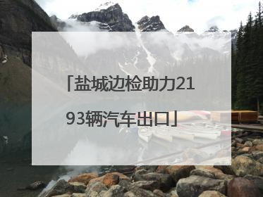盐城边检助力2193辆汽车出口
