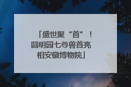 盛世聚“首”！圆明园七尊兽首亮相安徽博物院