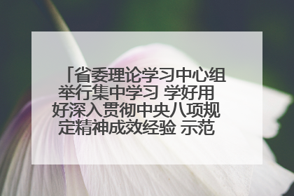 省委理论学习中心组举行集中学习 学好用好深入贯彻中央八项规定精神成效经验 示范带头持续推动全省学习教育走深走实