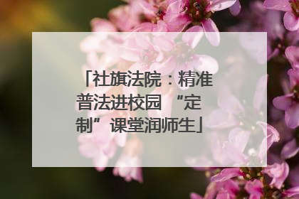 社旗法院：精准普法进校园 “定制”课堂润师生
