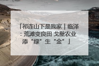 祁连山下是我家｜临泽：荒滩变良田 戈壁农业添“绿”生“金”