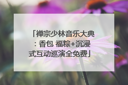禅宗少林音乐大典：香包 福粽+沉浸式互动巡演全免费