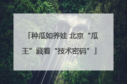 种瓜如养娃 北京“瓜王”藏着“技术密码”
