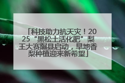 科技助力抗天灾！2025“黑松土活化肥”梨王大赛隰县启动，旱地香梨种植迎来新希望