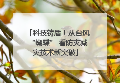 科技铸盾！从台风“蝴蝶” 看防灾减灾技术新突破