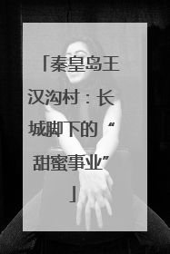 秦皇岛王汉沟村：长城脚下的“甜蜜事业”