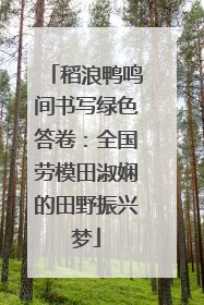 稻浪鸭鸣间书写绿色答卷：全国劳模田淑娴的田野振兴梦