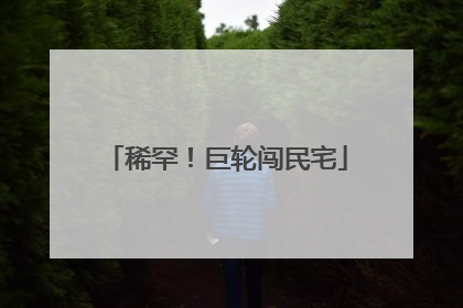 稀罕！巨轮闯民宅