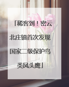 稀客到！密云北庄镇首次发现国家二级保护鸟类凤头鹰