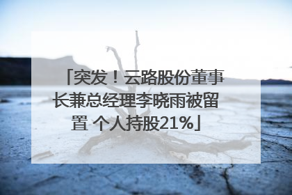 突发！云路股份董事长兼总经理李晓雨被留置 个人持股21%