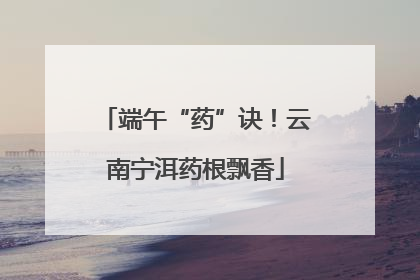 端午“药”诀！云南宁洱药根飘香