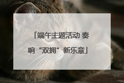 端午主题活动 奏响“双拥”新乐章
