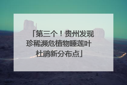 第三个！贵州发现珍稀濒危植物睡莲叶杜鹃新分布点
