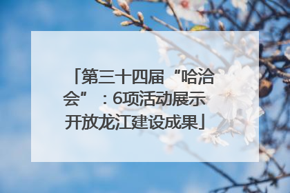 第三十四届“哈洽会”：6项活动展示开放龙江建设成果