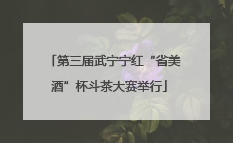 第三届武宁宁红“省美酒”杯斗茶大赛举行