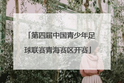 第四届中国青少年足球联赛青海赛区开赛