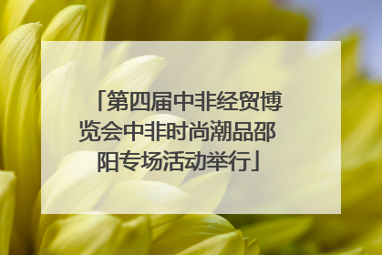 第四届中非经贸博览会中非时尚潮品邵阳专场活动举行