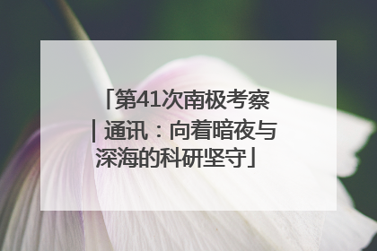 第41次南极考察｜通讯：向着暗夜与深海的科研坚守