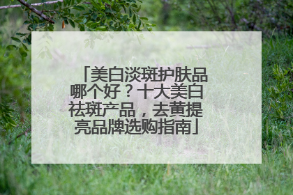 美白淡斑护肤品哪个好？十大美白祛斑产品，去黄提亮品牌选购指南