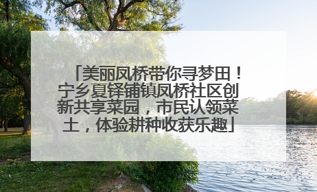 美丽凤桥带你寻梦田！宁乡夏铎铺镇凤桥社区创新共享菜园，市民认领菜土，体验耕种收获乐趣