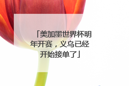 美加墨世界杯明年开赛，义乌已经开始接单了