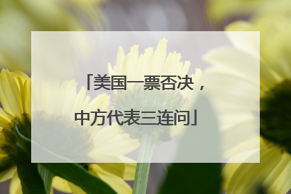 美国一票否决，中方代表三连问